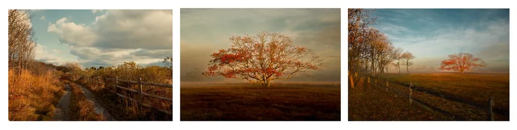 Autumn Serenity: A Tranquil Landscape of Nature's Palette