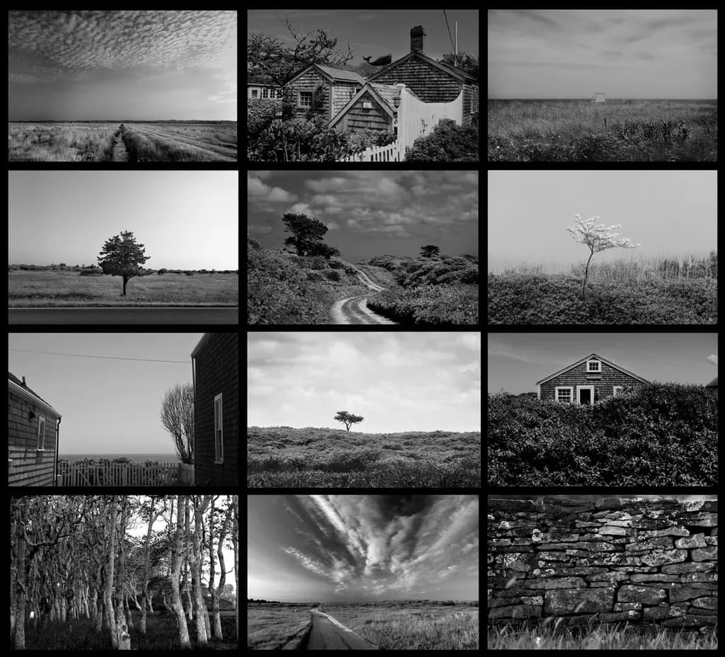 Whispers of Solitude: A Monochrome Journey Through Tranquil Landscapes
