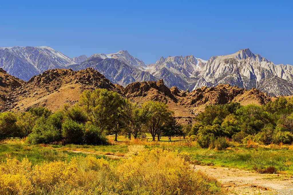 Eastern Sierra Transitions