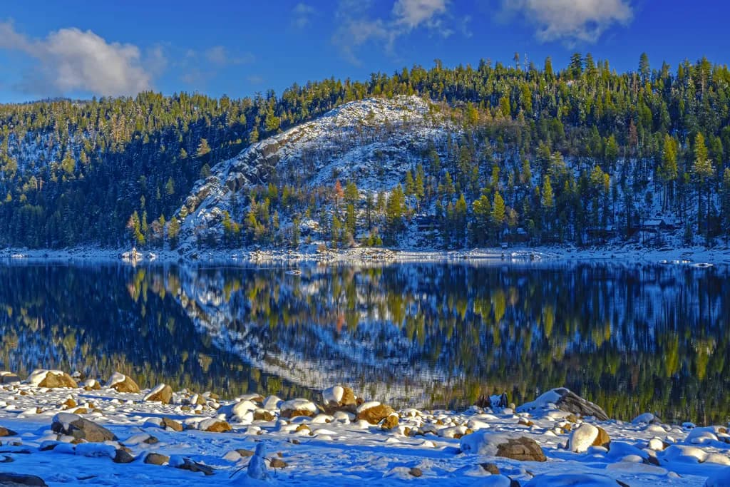 Frozen Reflections