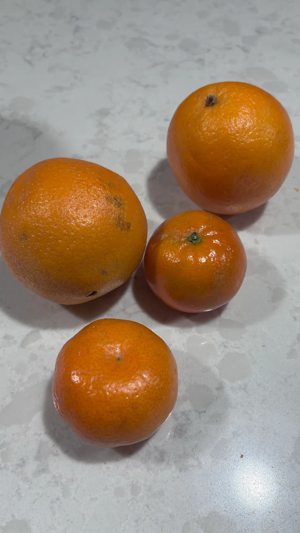 Citrus Quartet