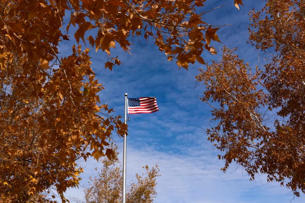 Autumn's Embrace: The American Flag Amidst Golden Leaves