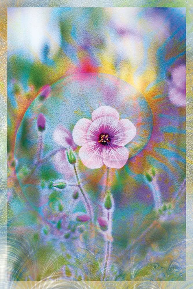 Delicate Bloom