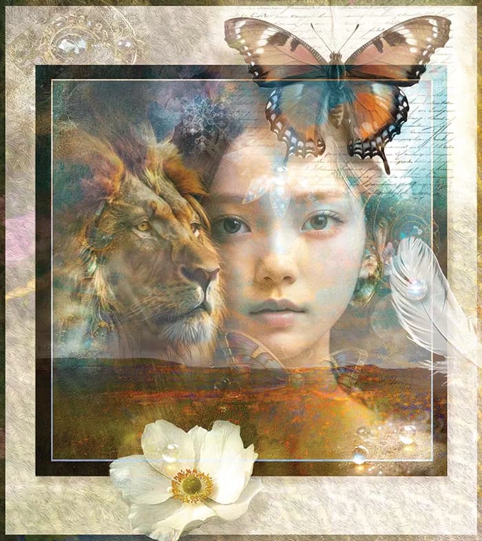 Butterfly's Memoir