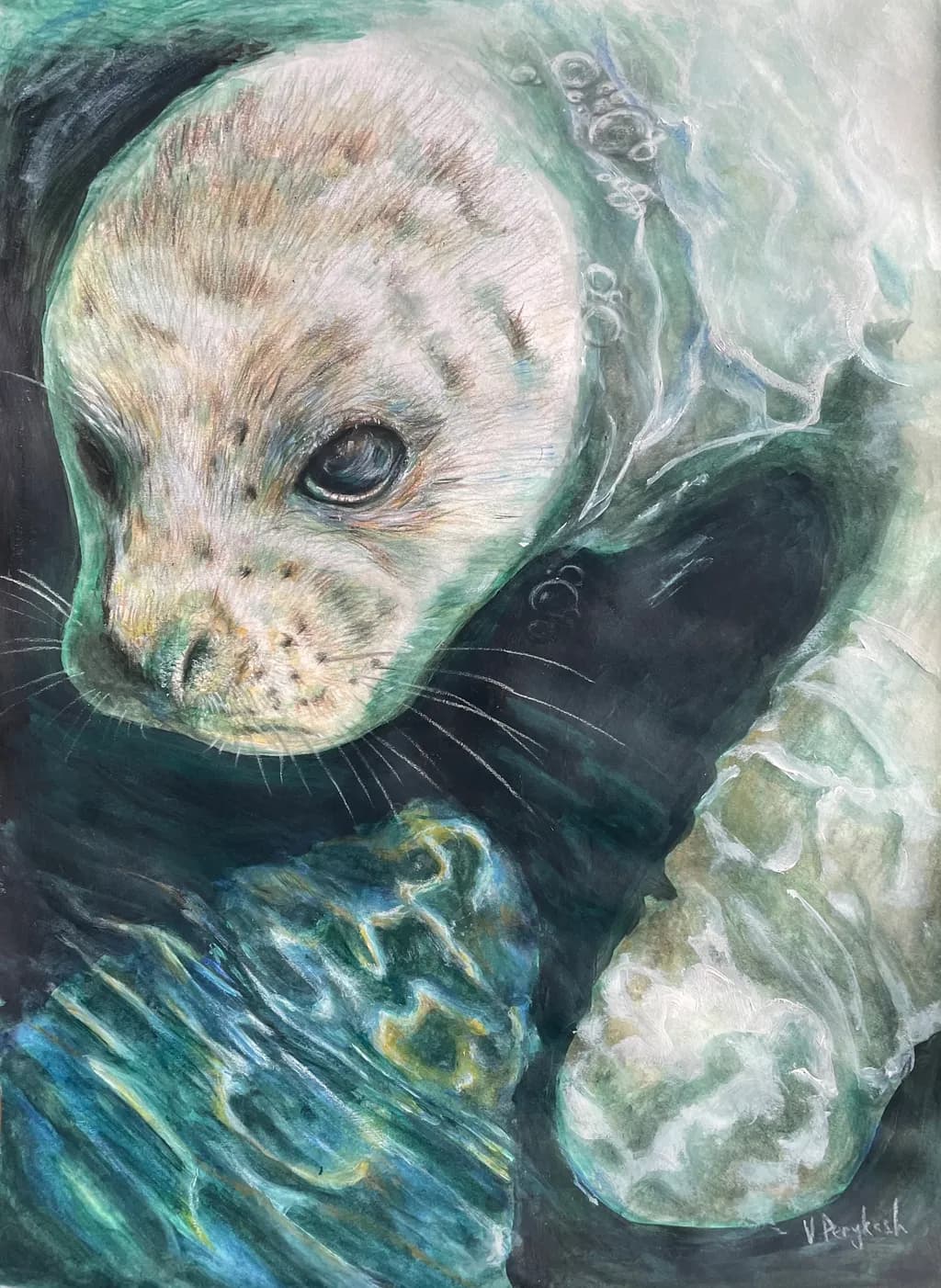 Whiskered Wonder: A Serene Seal Portrait Beneath the Waves
