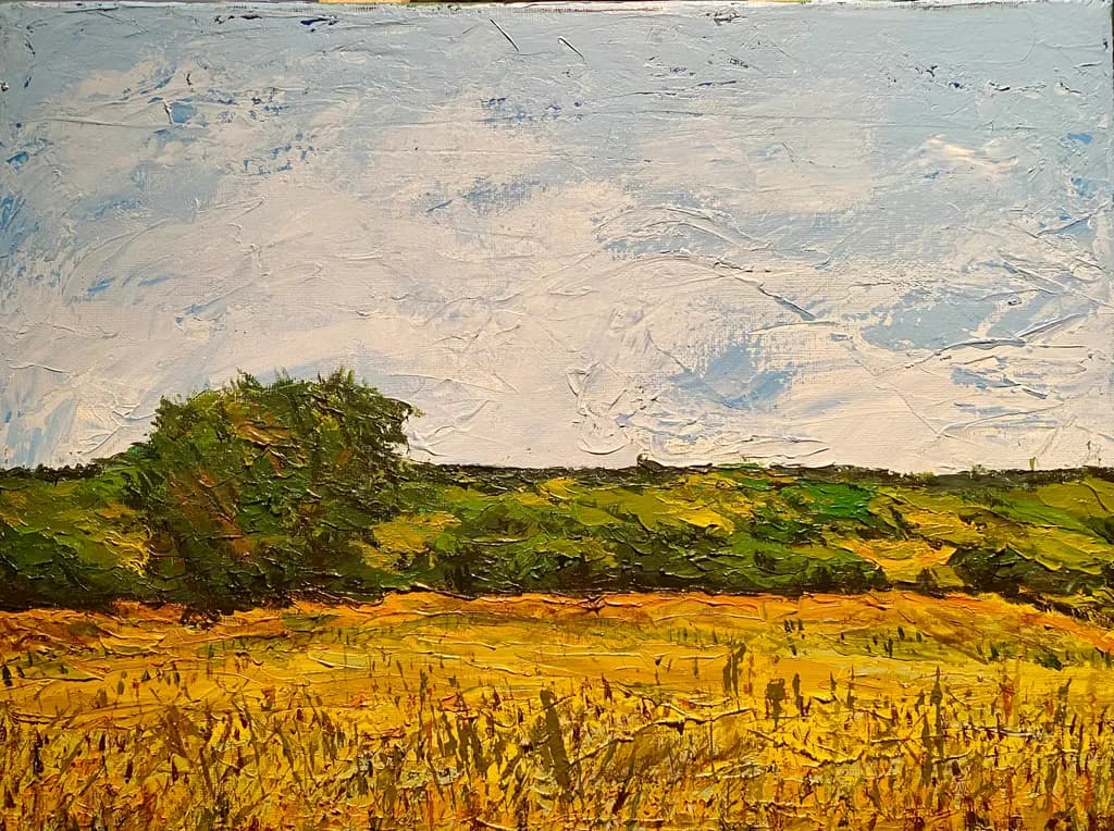 Golden Fields Under a Vast Sky: A Textured Landscape of Serenity and Nature's Beauty