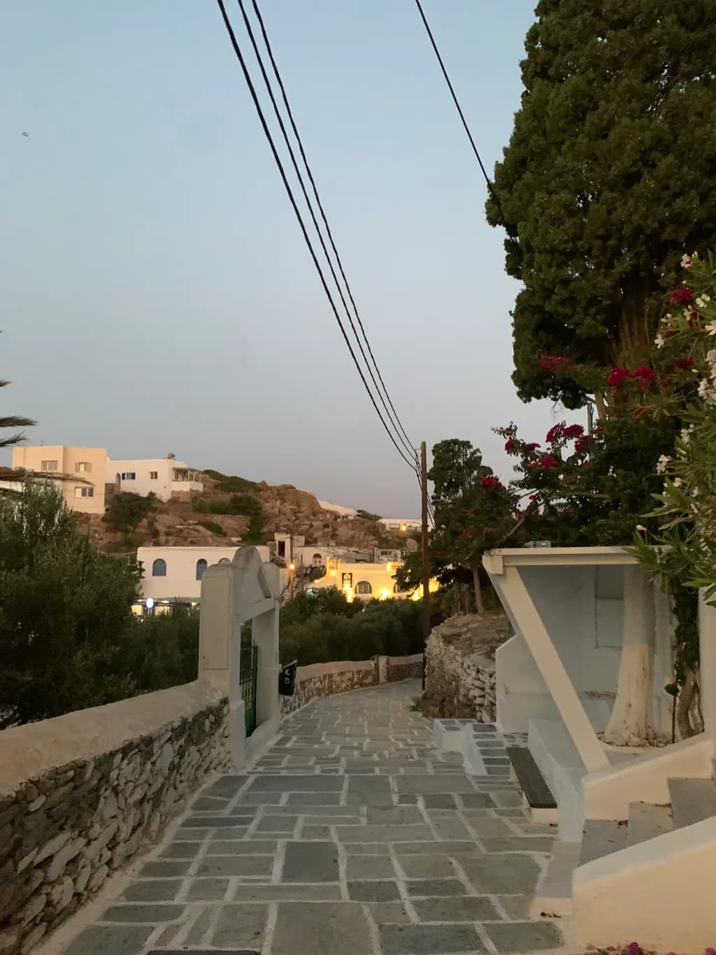 Tranquil Evening Pathway: A Scenic Journey Through Architectural Beauty