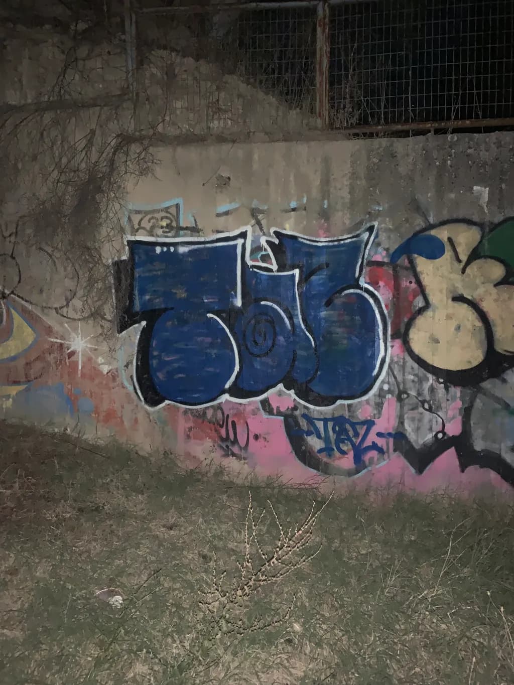 Urban Echoes: A Nighttime Graffiti Exploration