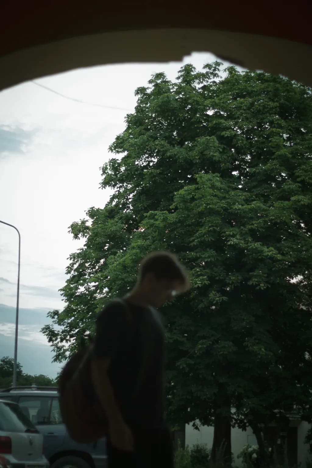 Whispers of Nature: A Solitary Figure Beneath the Canopy of Green