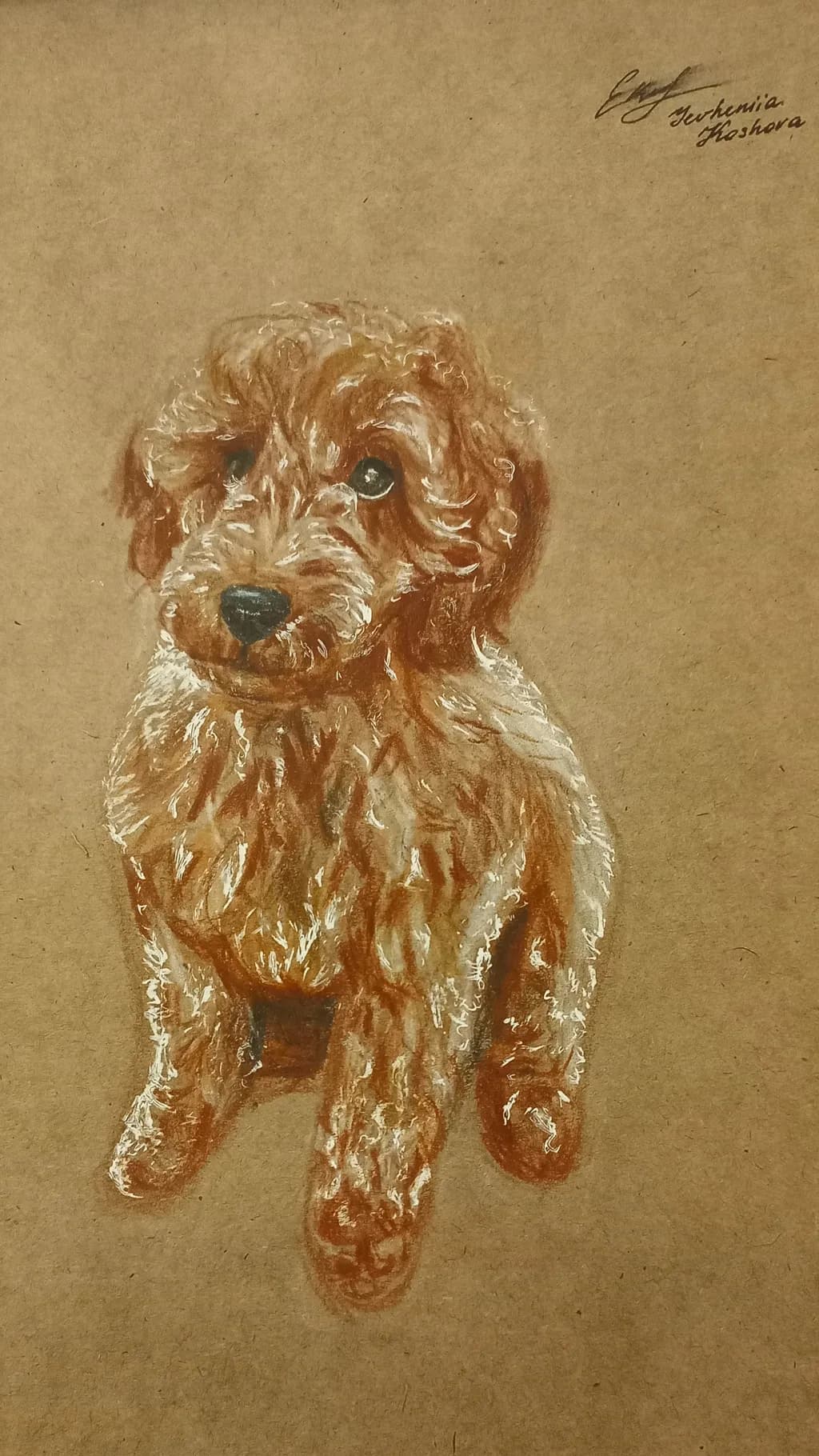 Whimsical Whiskers: A Charming Portrait of a Playful Pup