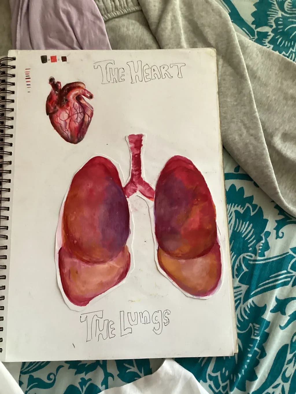 Vital Connections: The Heart and Lungs in Harmony
