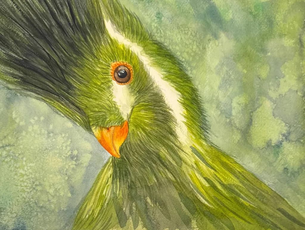 Emerald Crest