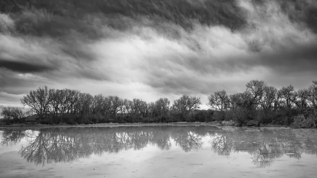 Reflections in Monochrome