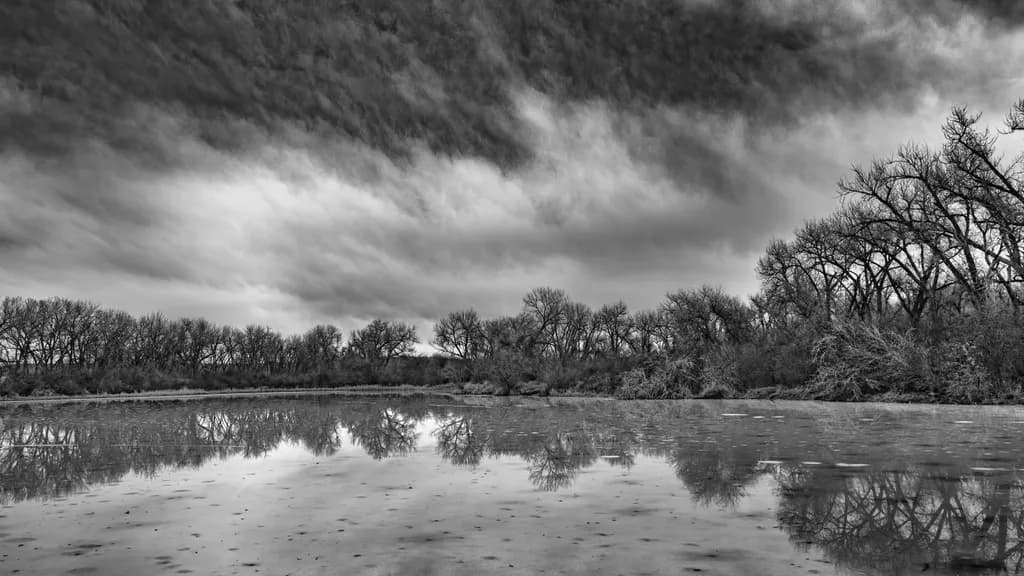 Monochrome Reflections