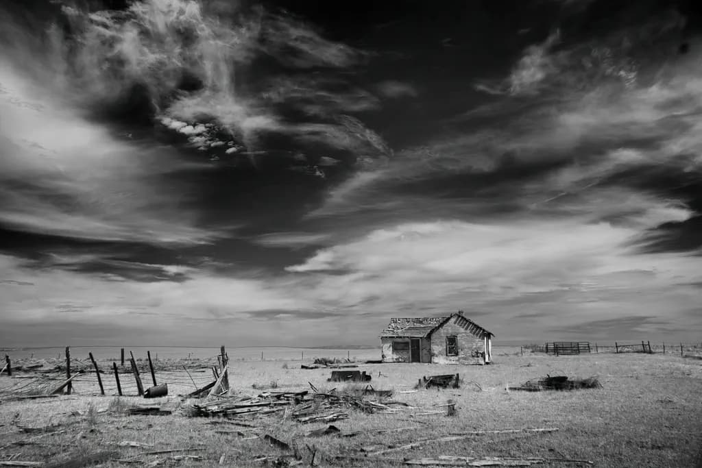Forgotten Shelter