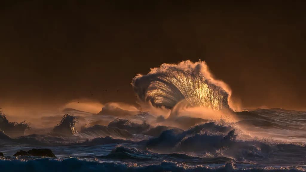 Wind Swept Waves