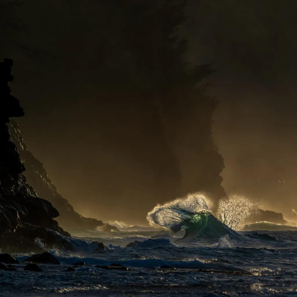 Light Waves