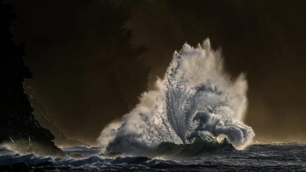 Spirited Dynamics