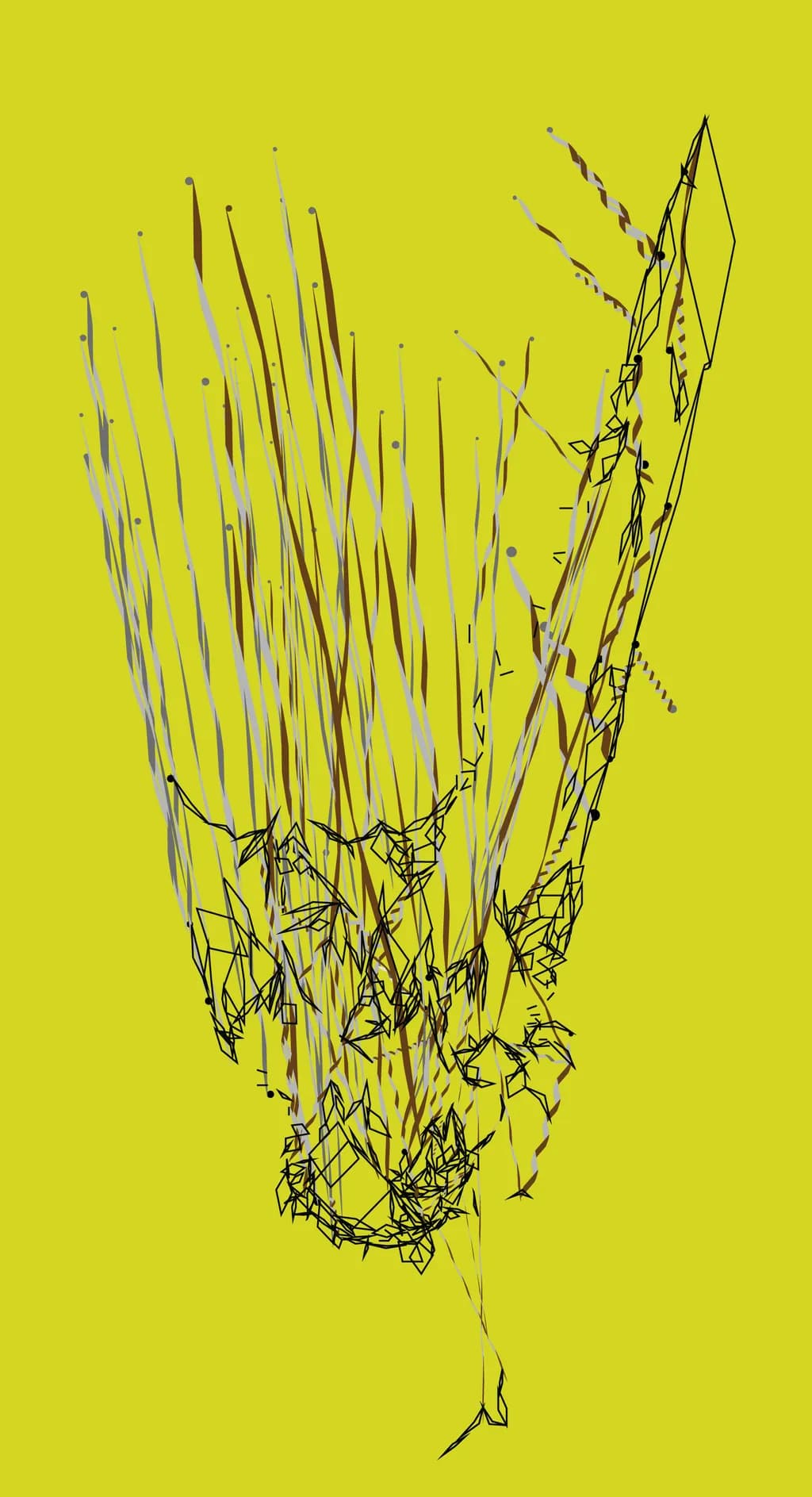 Net _1