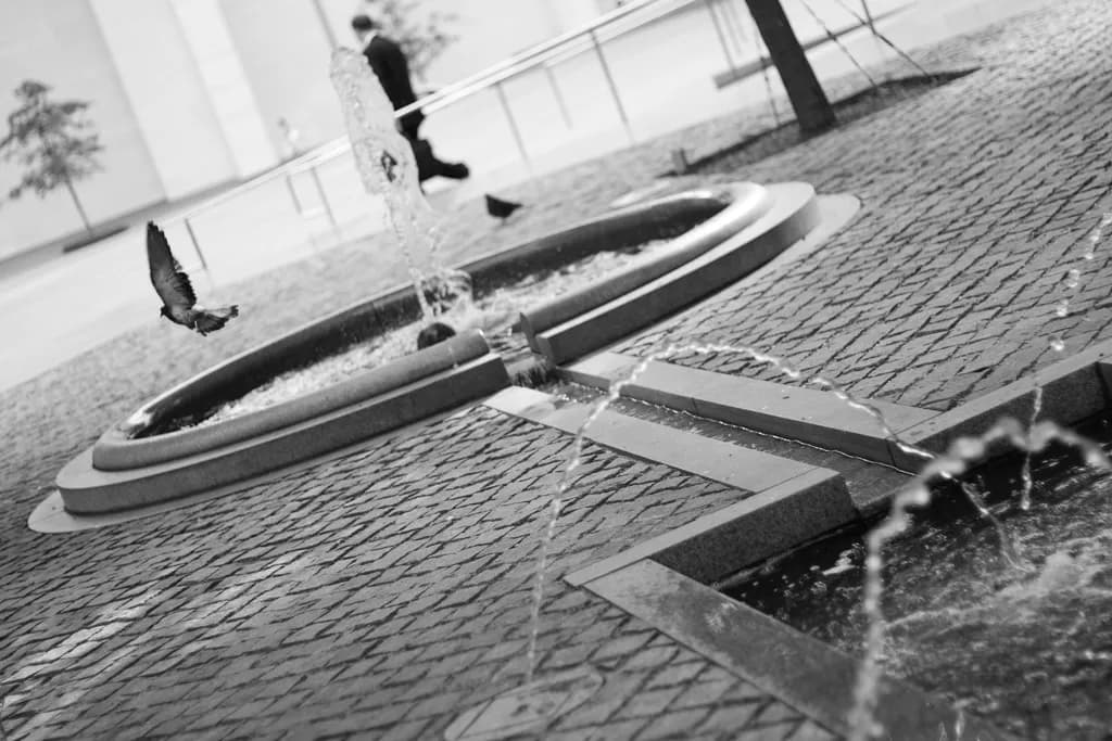 Fountains and Flight