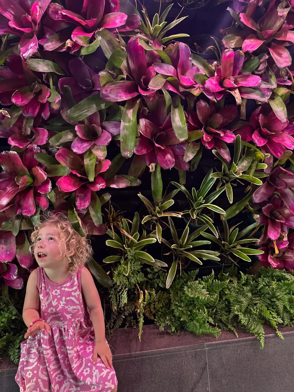 Curly Playfulness in Bloom