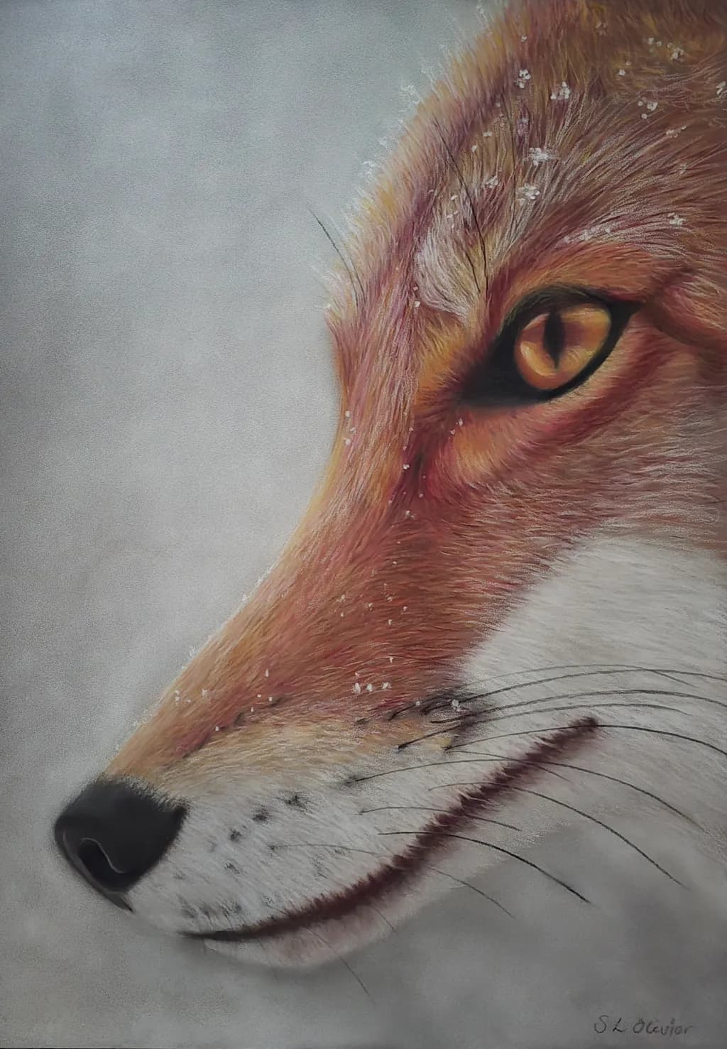Whispers of the Wild: A Captivating Portrait of a Fox's Gaze
