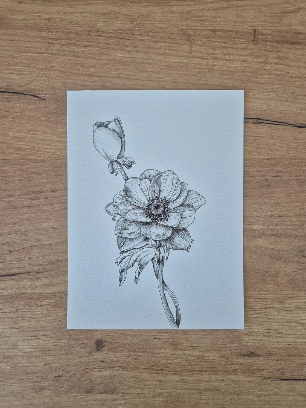 Whispers of Bloom: A Delicate Floral Sketch in Ink