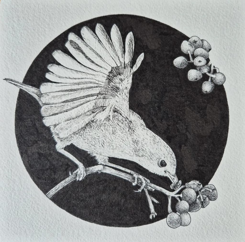 Whispers of Nature: A Black-and-White Bird Illustration on a Branch