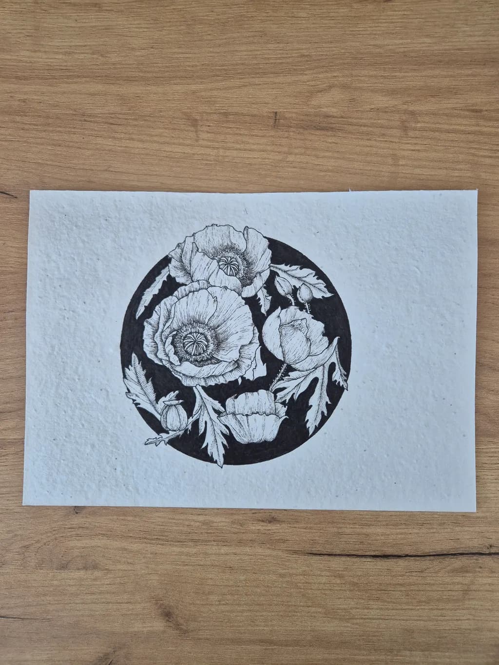 Ethereal Blooms: A Black and White Botanical Illustration of Poppies in Circular Harmony