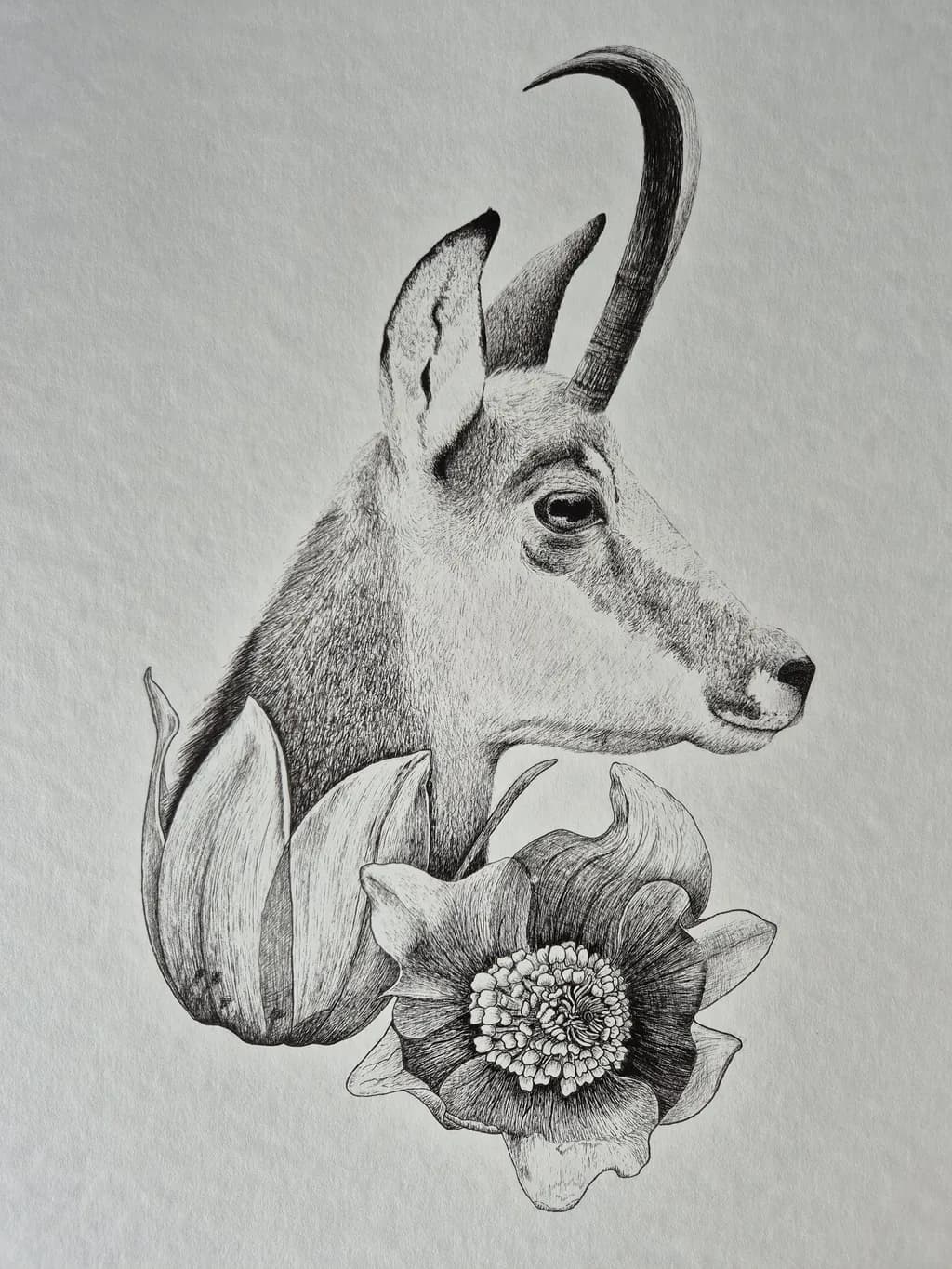Whispers of Nature: A Harmonious Blend of Flora and Fauna