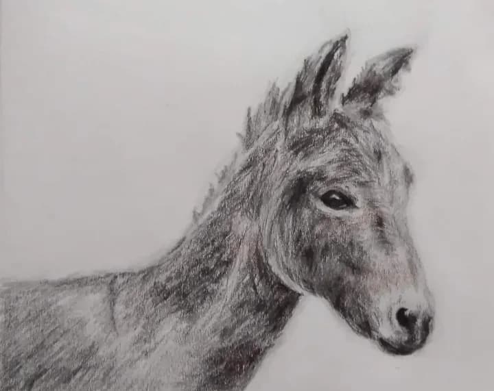 Whispers of the Wild: A Charcoal Portrait of Equine Grace