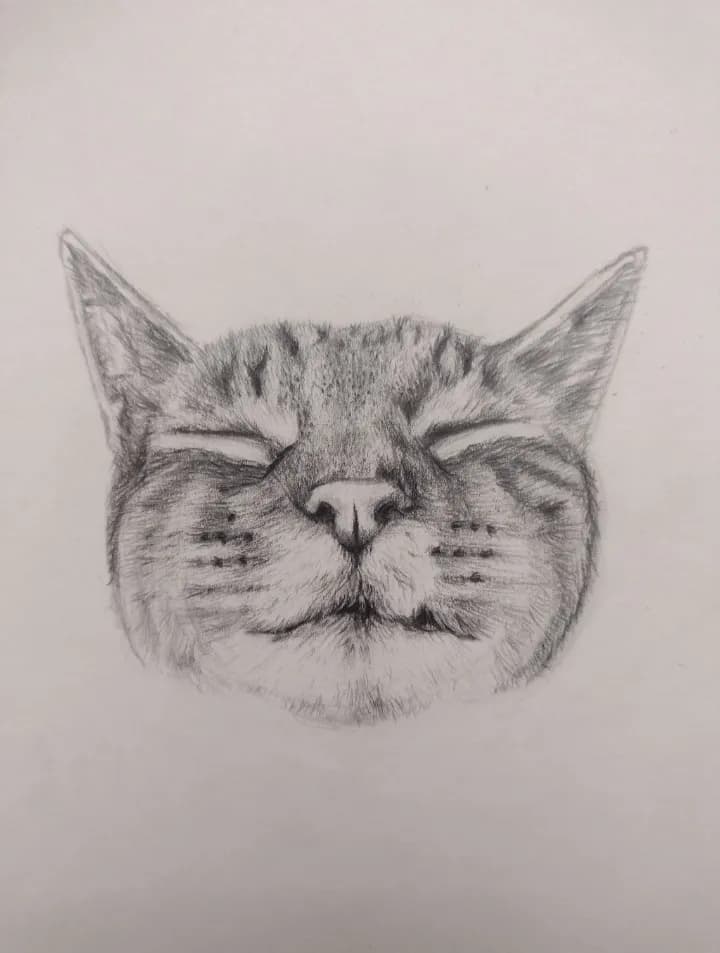 Whiskered Serenity: A Captivating Pencil Sketch of a Content Cat Face