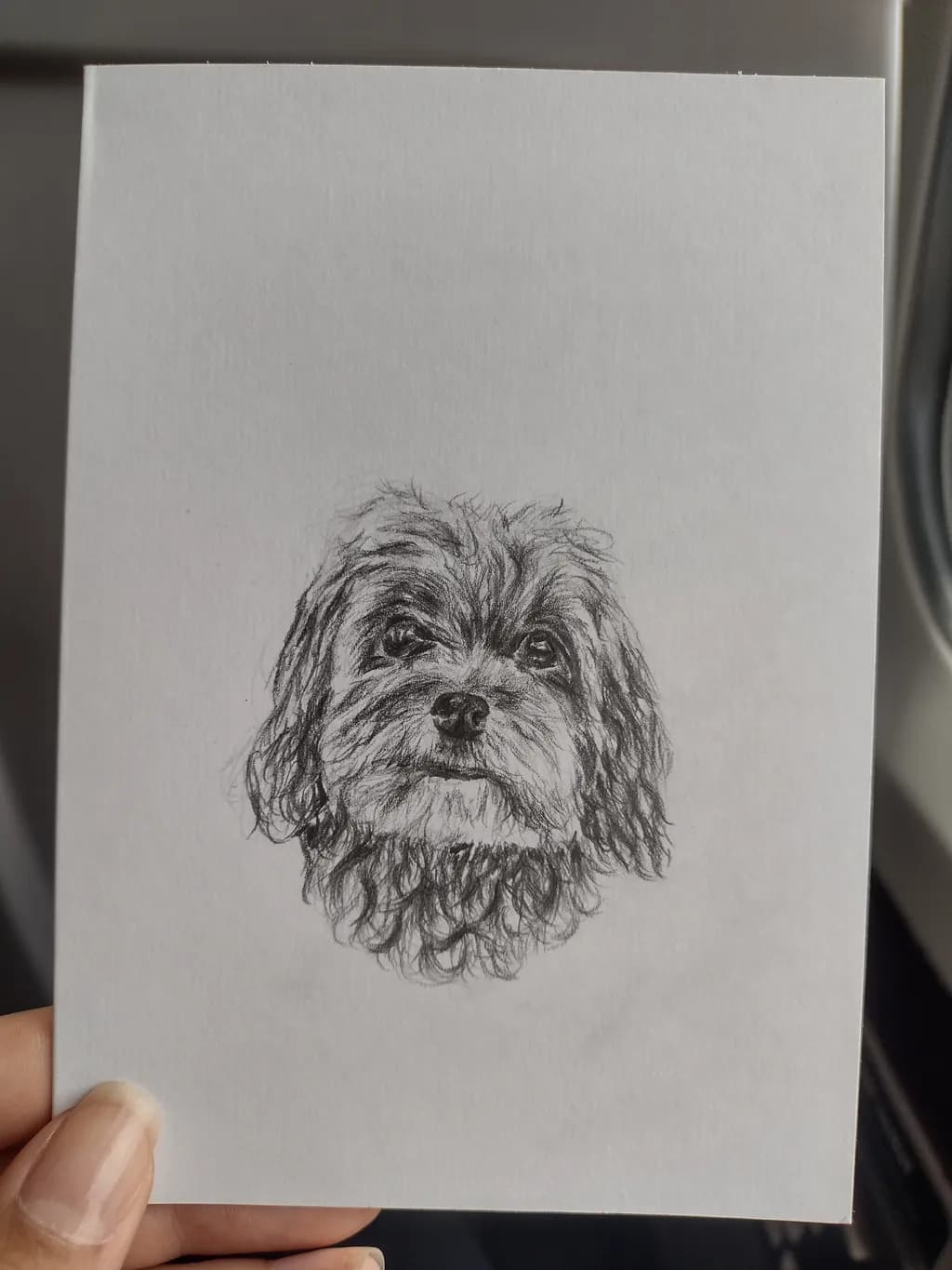 Whiskered Whimsy: A Charming Dog Portrait in Pencil Sketch Form