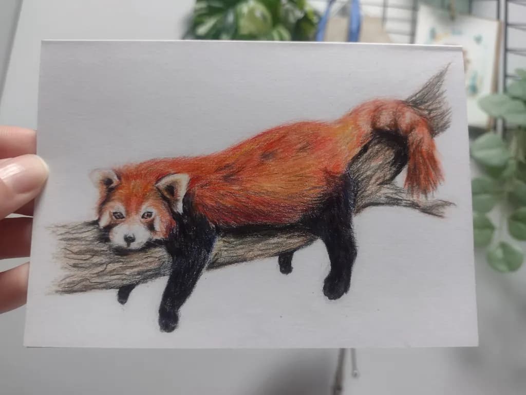 Whimsical Red Panda Relaxing on a Branch: A Colorful Nature Illustration