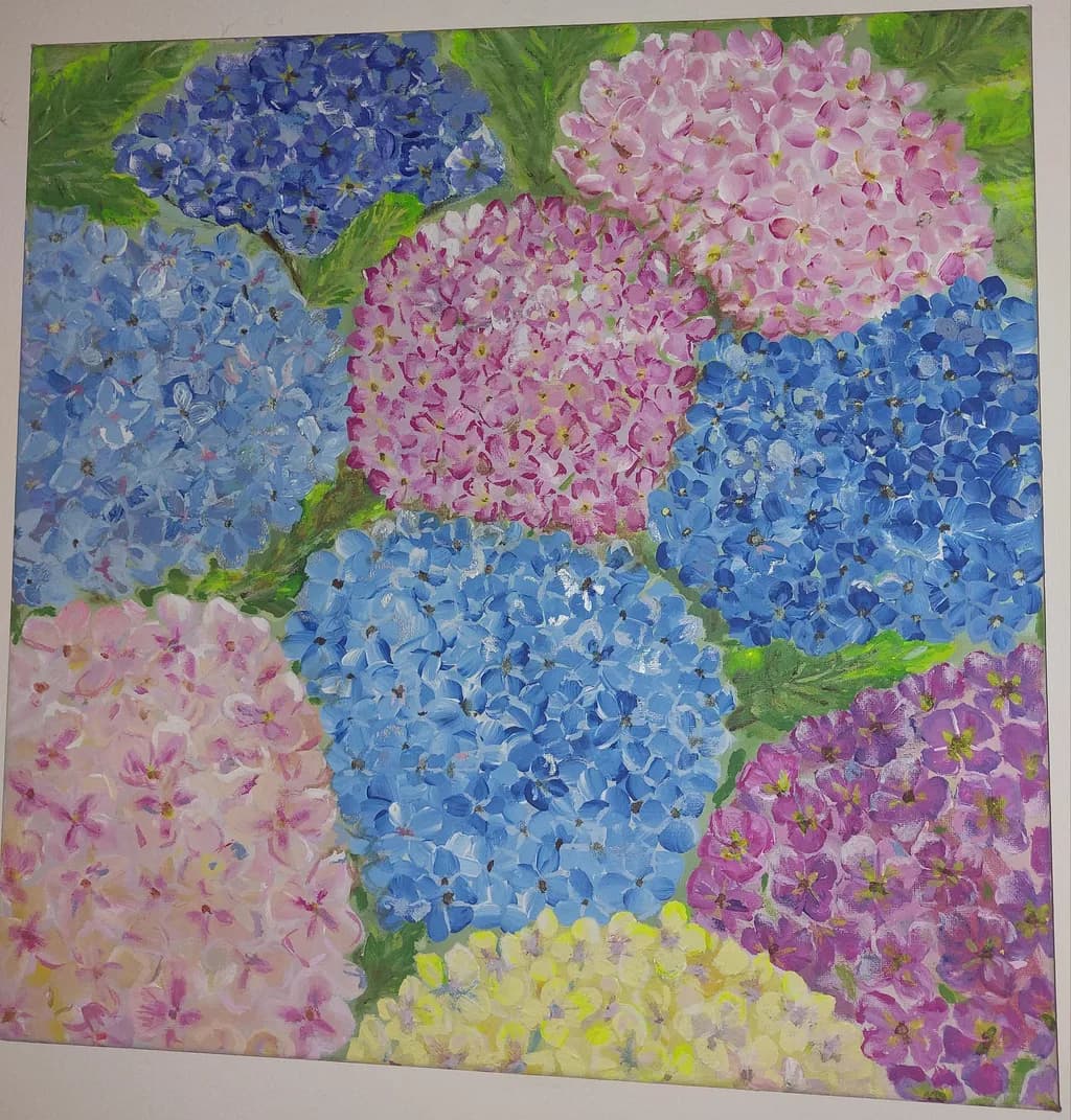 Vibrant Hydrangea Harmony: A Colorful Floral Symphony in Bloom