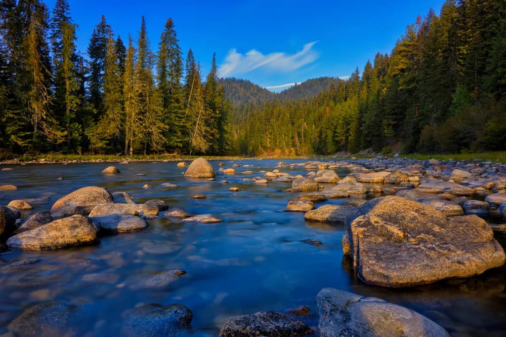 Loscha River Flow