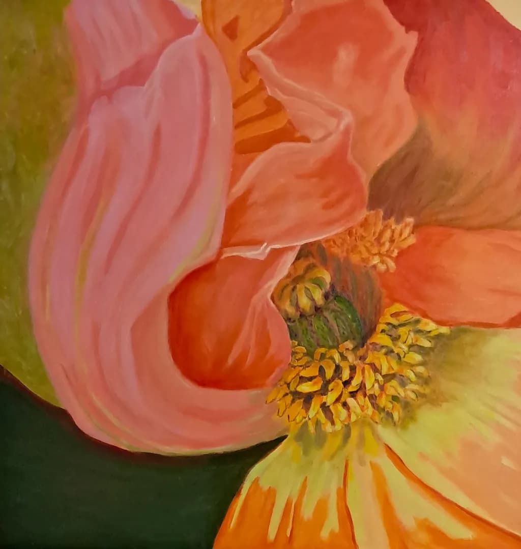 Orange Flower Closeup