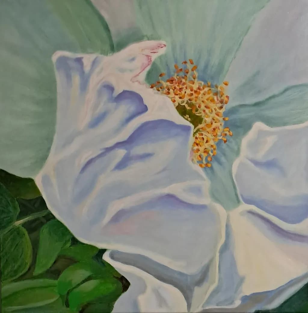 Delicate Flower Close-up