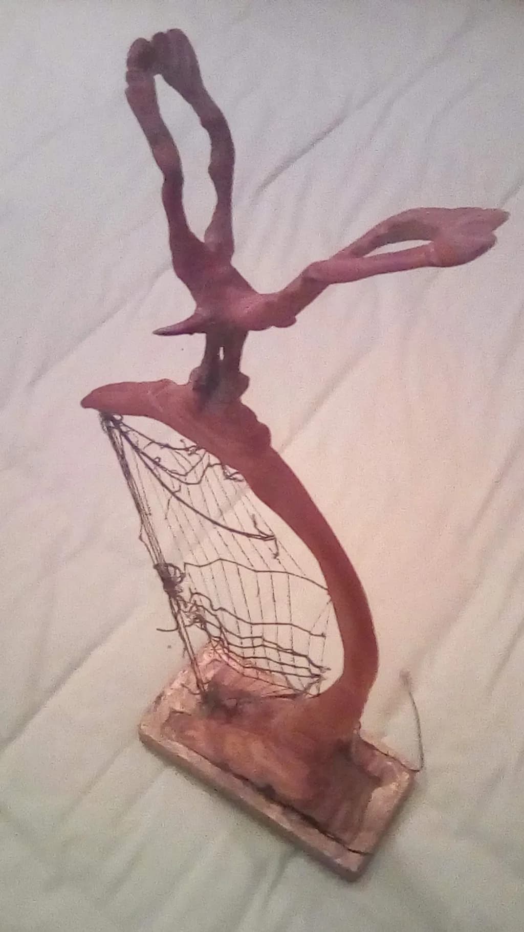 Flight of the Catcher