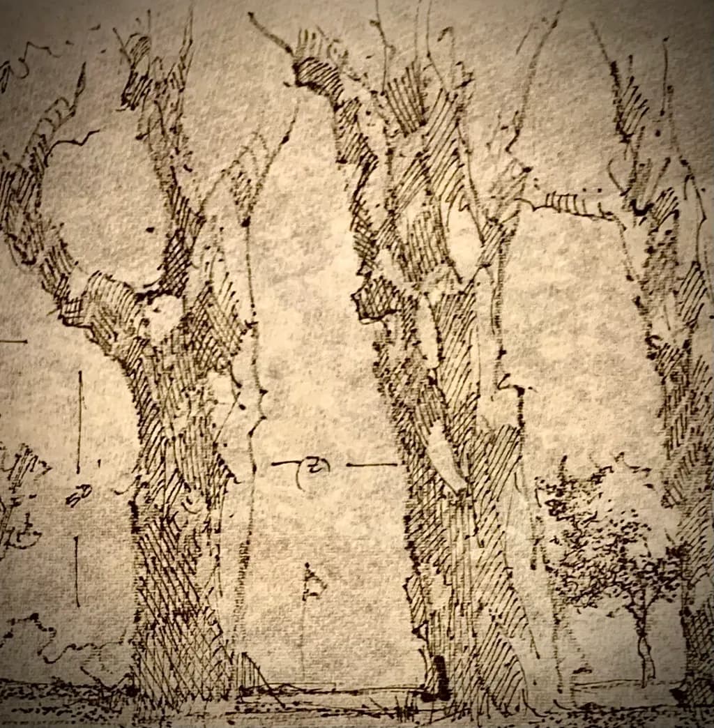 Tree Study