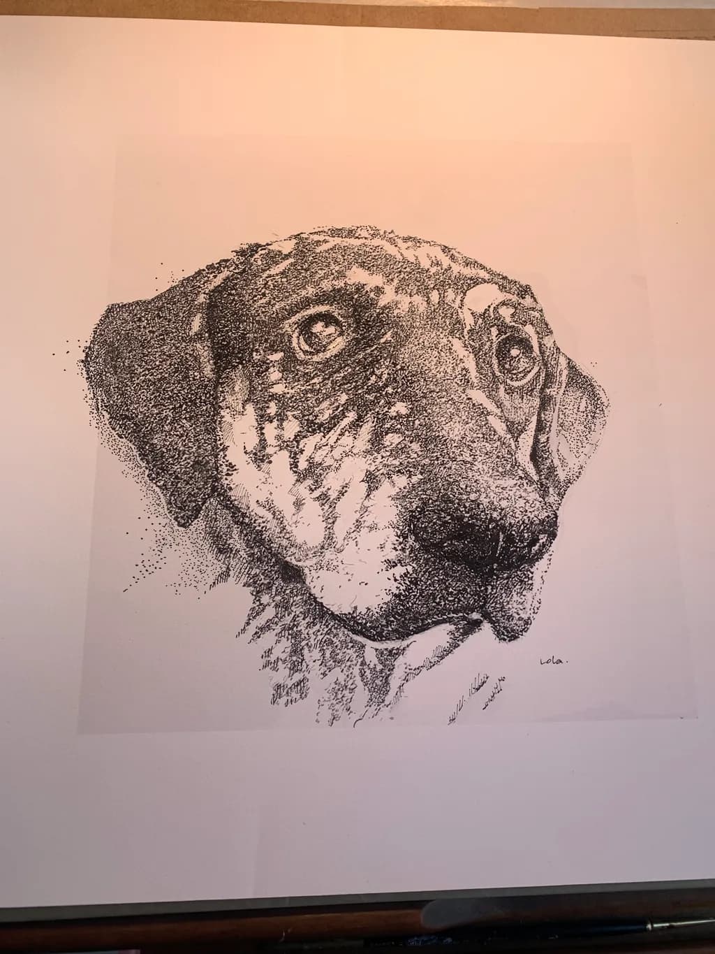 Soulful Canine Portrait