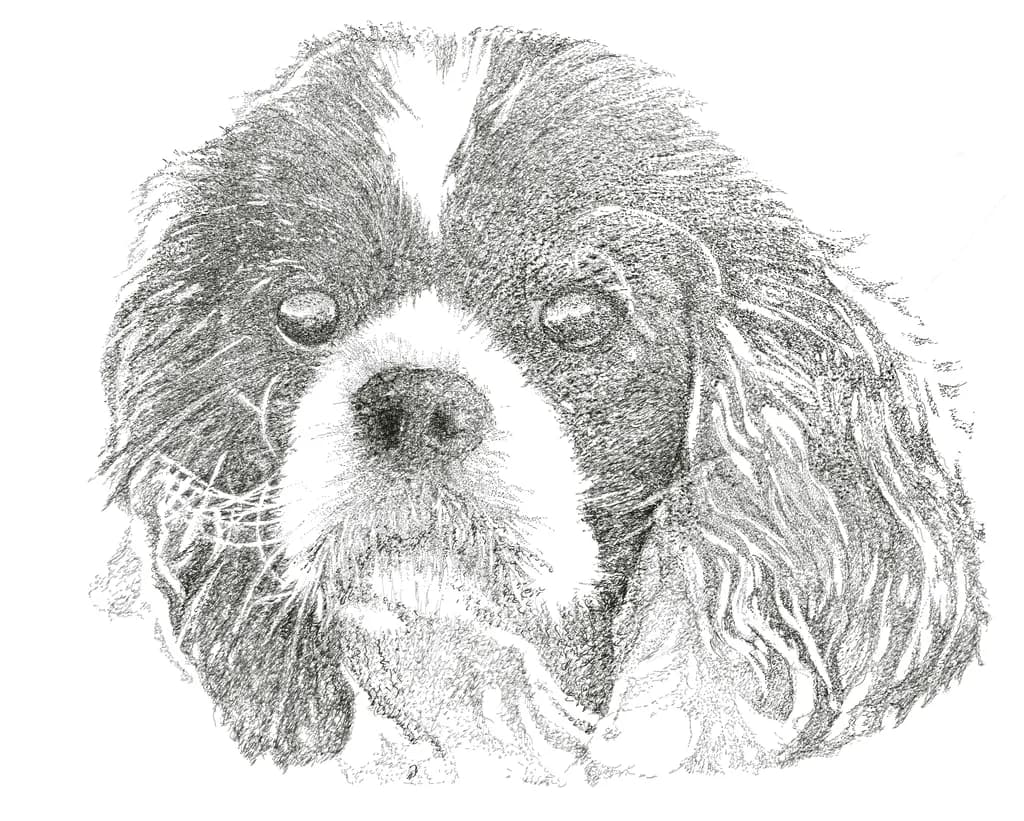 Furry Portrait