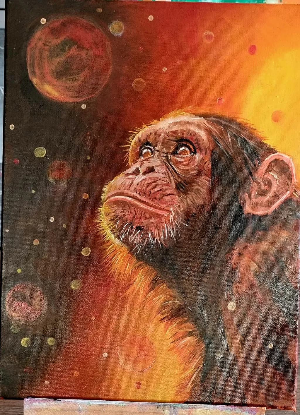 Cosmic Contemplation