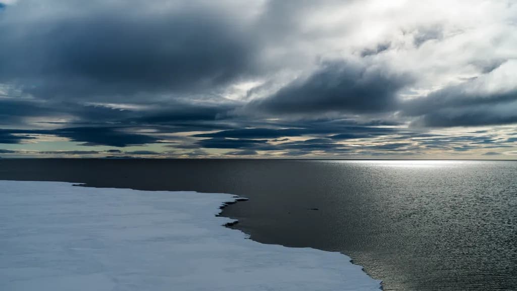 The Edge