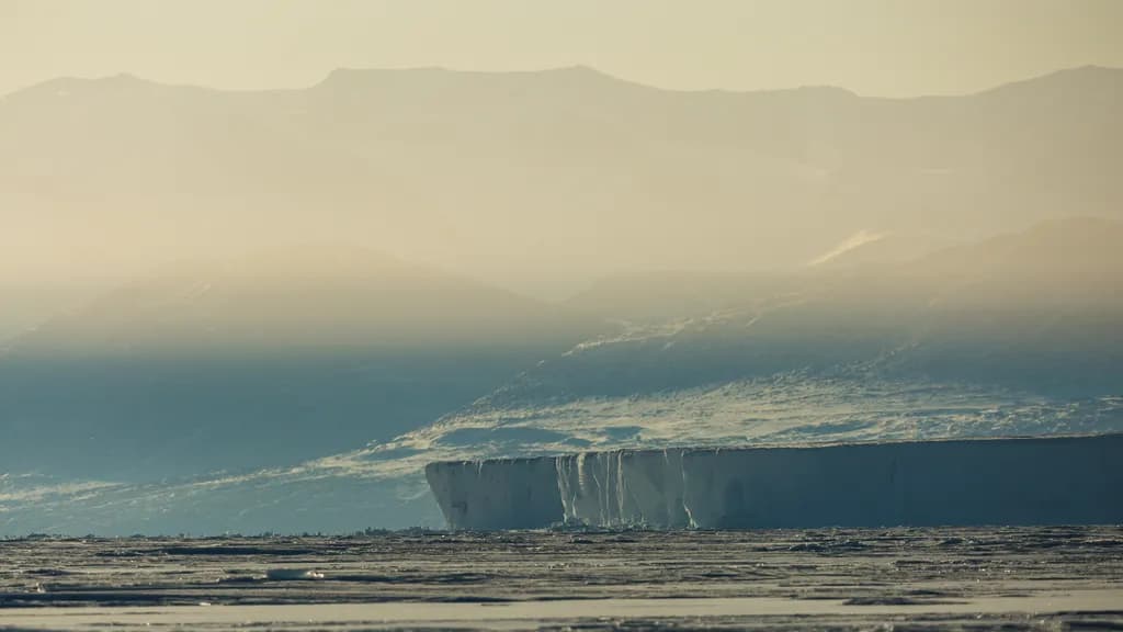 Antarctic Dream State