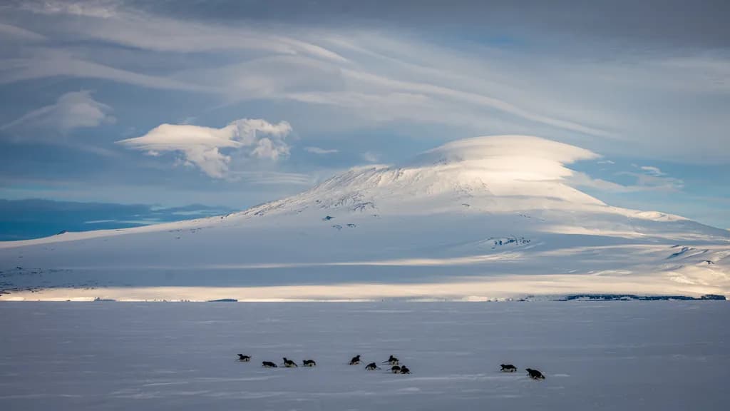 Majestic Wilderness