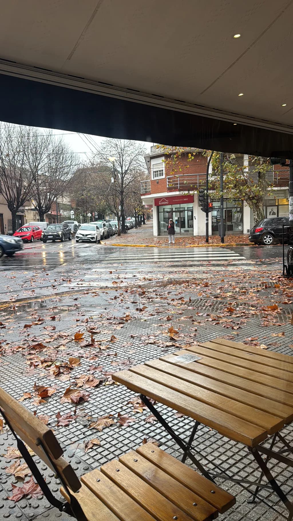 Rainy Autumn Streetview