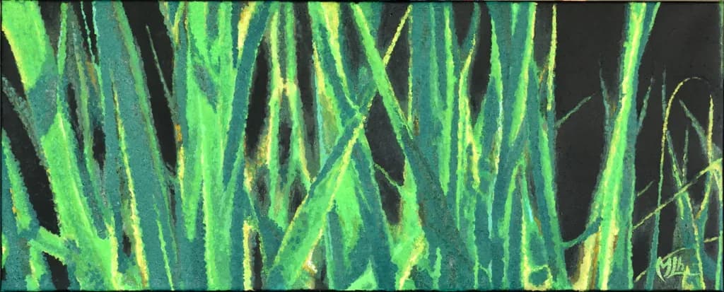 Chlorophylle