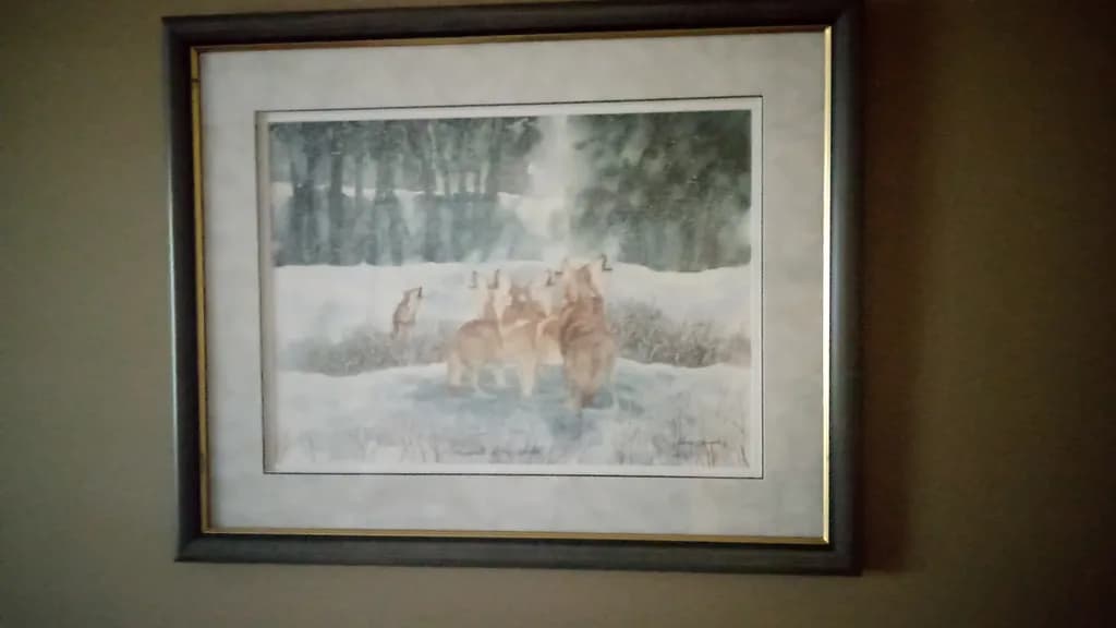 Winter's Watchers
