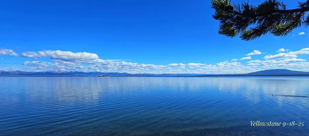 Yellowstone Reflections